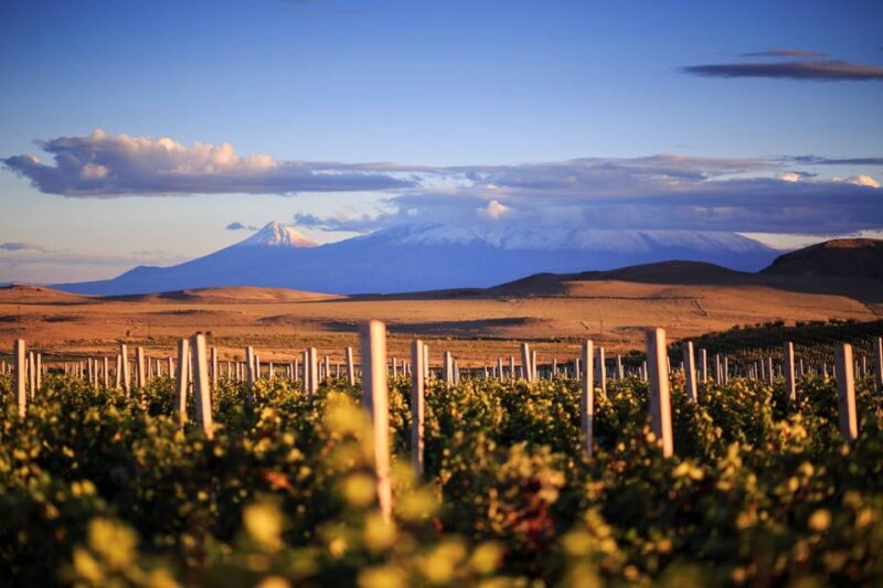 Yerevan: Khor Virap Day Trip with Mount Ararat Wine Tasting - A Deep Dive into the Experience