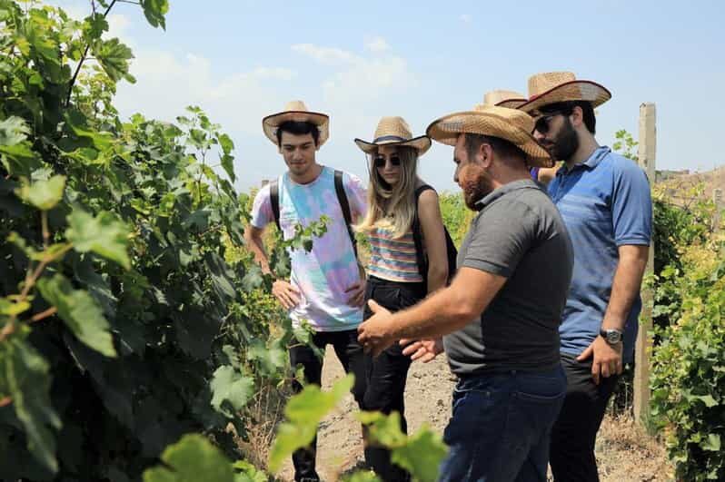 Yerevan: Khor Virap Day Trip with Mount Ararat Wine Tasting - Final Words