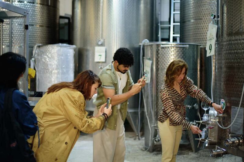 Yerevan: Wine Tasting and Vineyard Lunch at Voskeni Winery - Key Points