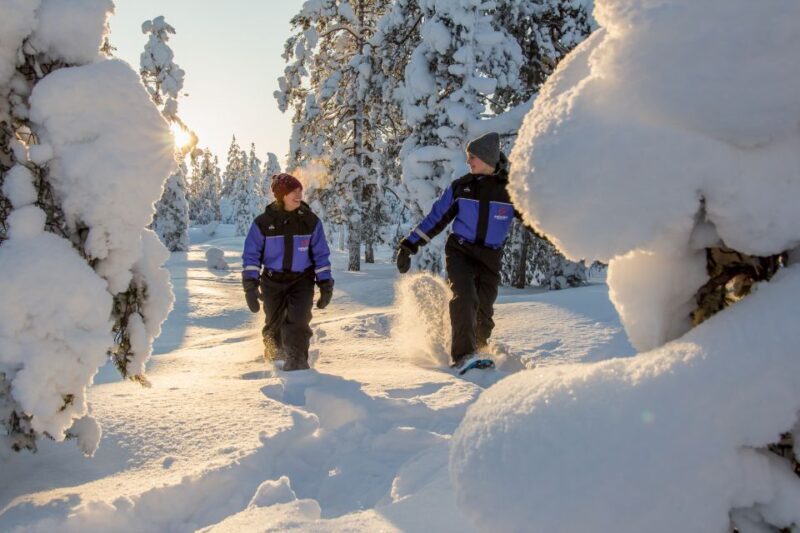 Ylläs: Forest Hike with Snowshoes - The Sum Up