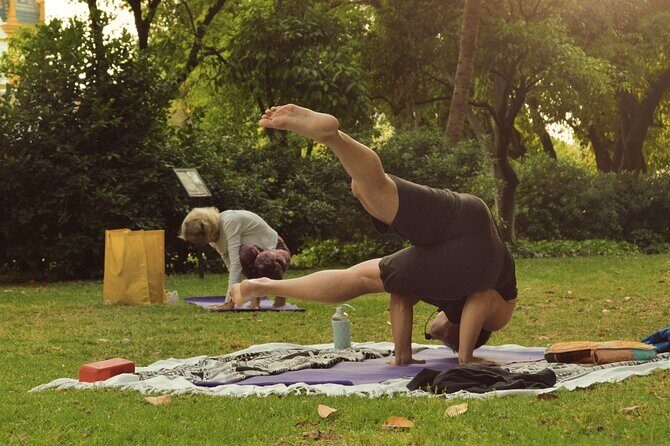 Yoga at María Luisa Park in Seville - What to Expect from the Yoga Class
