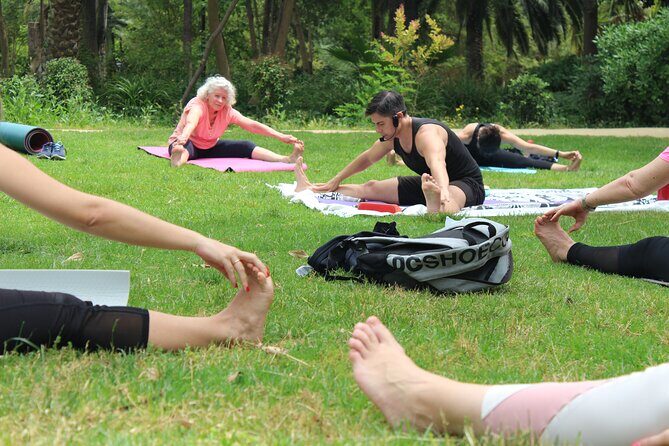 Yoga at María Luisa Park in Seville - Price and Value