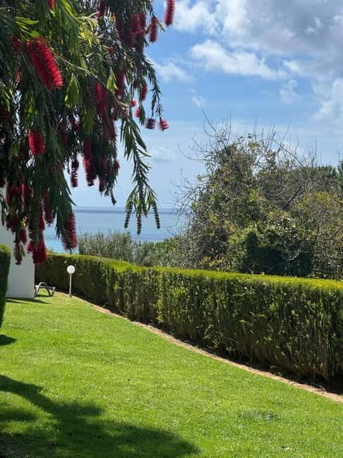 Yoga Brunch in Lagos by el Sol - Lifestyle - Key Points