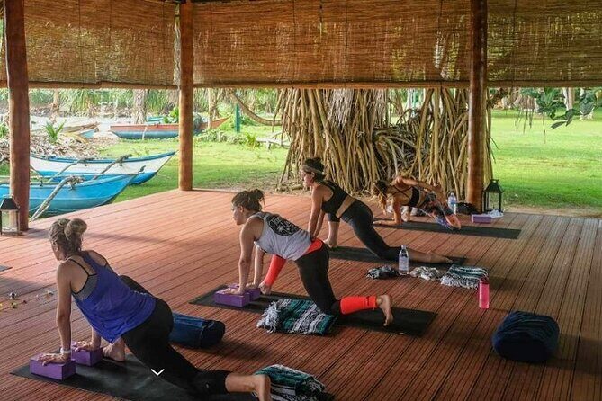 yoga class - Vinyasa Flow (wellness treatments Sri Lanka) - Key Points