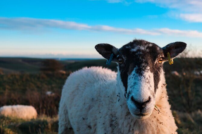 Yoga & Forest Bathing Day Retreat - Practical Tips: What to Know Before You Go