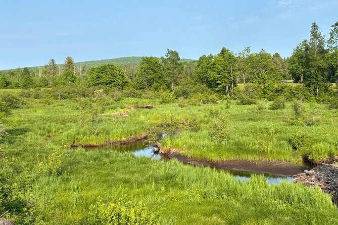 Yoga on the Farm in the Adirondacks - FAQ