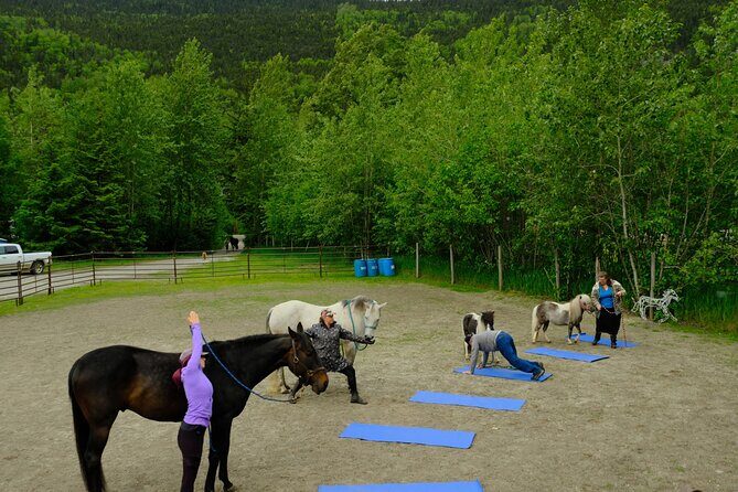Yoga with Horses - Key Points
