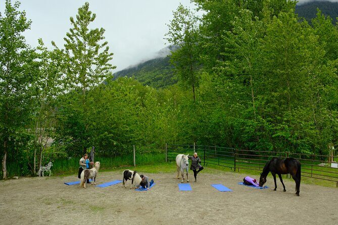 Yoga with Horses - A Deep Dive into the Experience