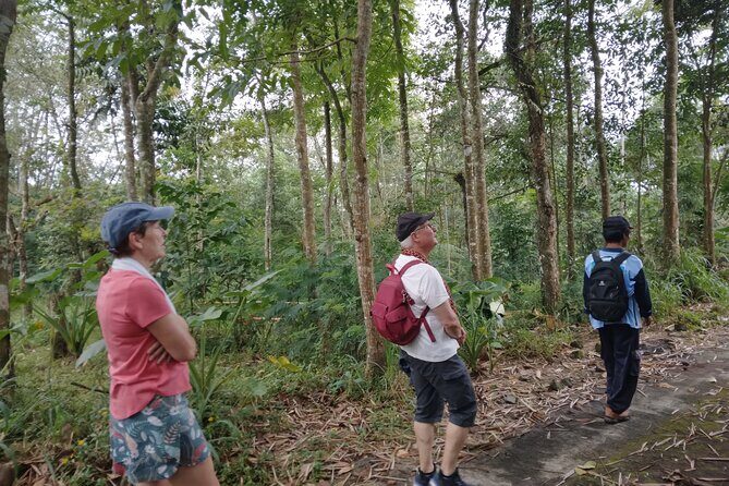 Yogyakarta Countryside Walking Tour - FAQs