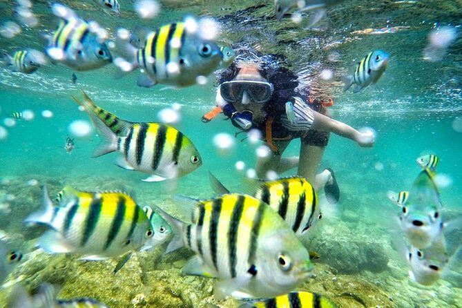 Yogyakarta Nglambor Beach Snorkeling Tour with Private Transport - Key Points