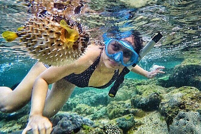 Yogyakarta Nglambor Beach Snorkeling Tour with Private Transport - An Efficient and Comfortable Day Trip from Yogyakarta