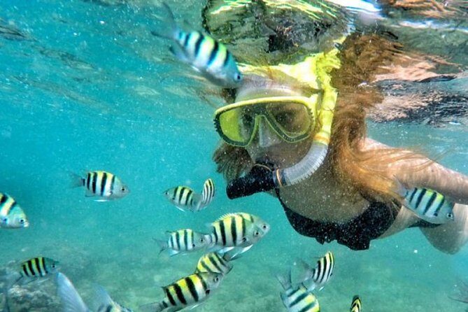 Yogyakarta Nglambor Beach Snorkeling Tour with Private Transport - Practical Considerations