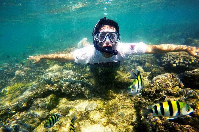 Yogyakarta Nglambor Beach Snorkeling Tour with Private Transport - FAQs