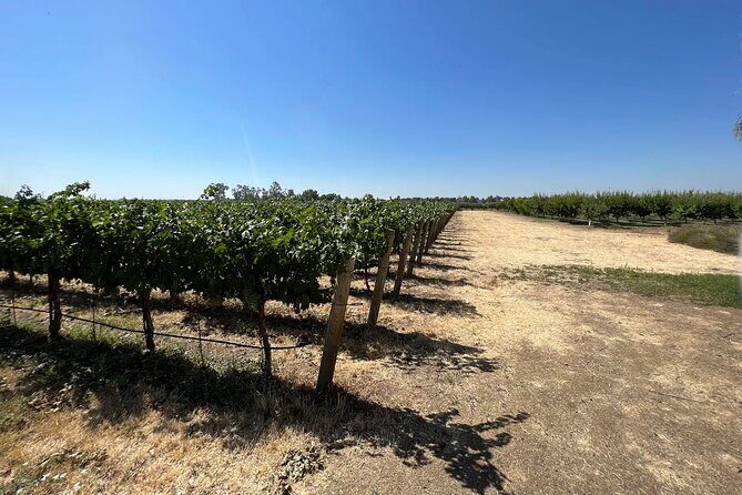 Yolo County Explorer: Culinary & Cultural Audio Tour - Exploring Yolo County: A Self-Guided Culinary & Cultural Audio Tour Review