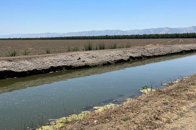 Yolo County Explorer: Culinary & Cultural Audio Tour - FAQ
