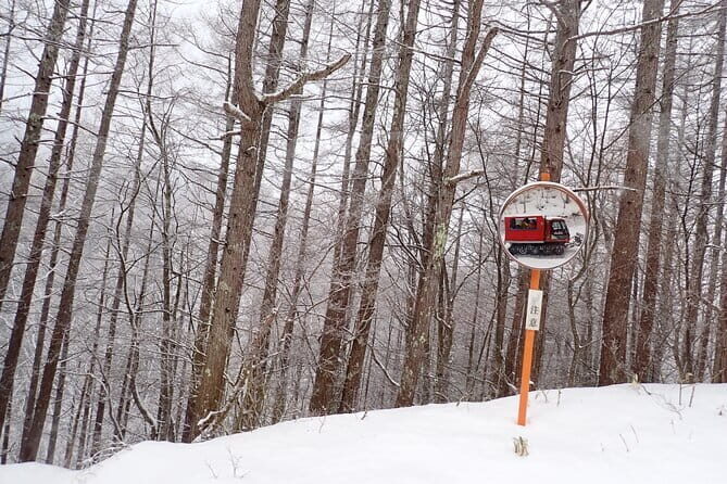 Yonako Falls Expedition: A Snowshoeing Adventure - Exploring the Itinerary in Detail