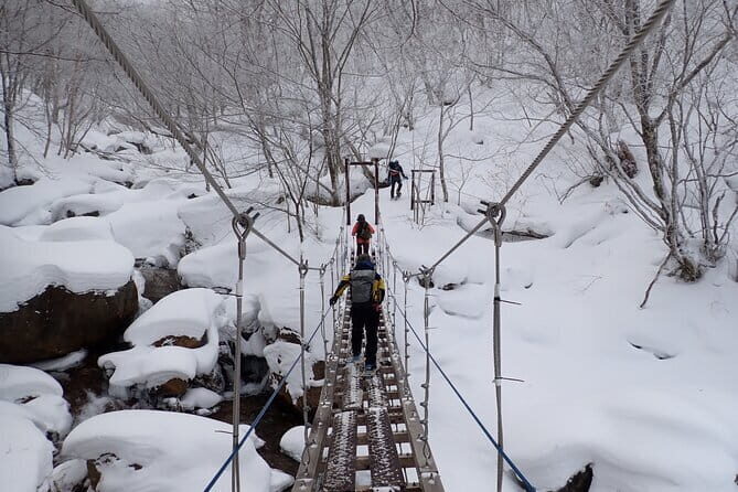 Yonako Falls Expedition: A Snowshoeing Adventure - Who Would Love This Tour?