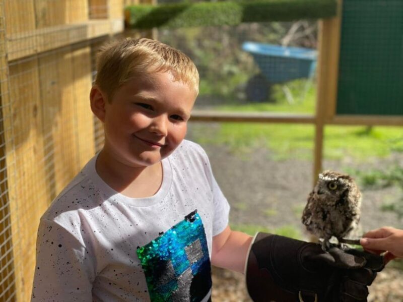 York: Entry to York bird of prey centre - Key Points