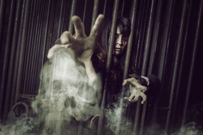 York: The York Dungeon Entry Ticket - Who Will Love This Tour?