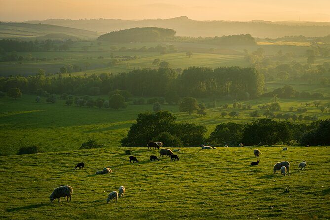 Yorkshire Dales Tour App, Hidden Gems Game and Big Britain Quiz (7 Day Pass) UK - A Closer Look at What the Yorkshire Dales Tour App Offers