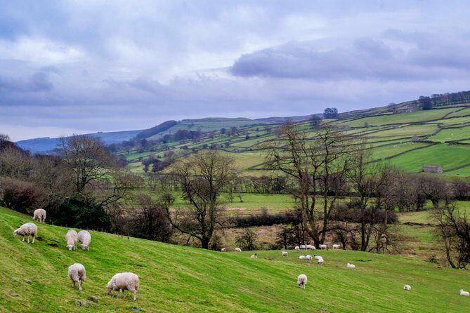 Yorkshire Dales Tour from York - Practicalities: What to Expect