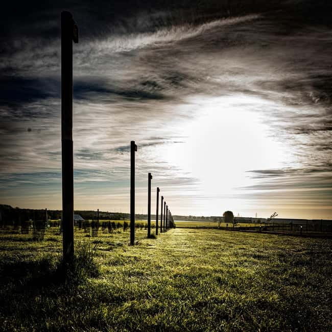 Yorkshire: Loversall Vineyard Wine Tasting and Tour - Key Points