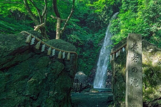 Yoro Falls and Mt. Gozaisho Scenic Ropeway from Nagoya - Key Points