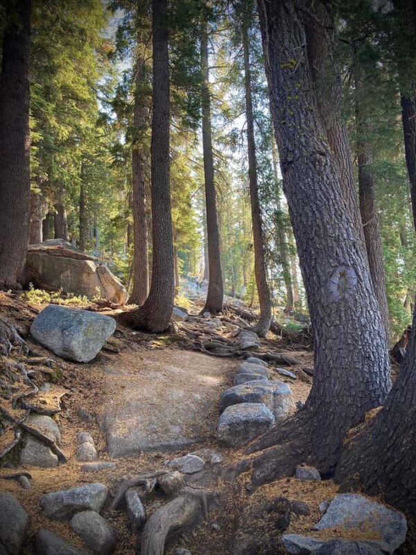 Yosemite: 3 Day Yosemite Falls Guided Backpacking 6/28/26 - An In-Depth Look at the Yosemite Backpacking Trip