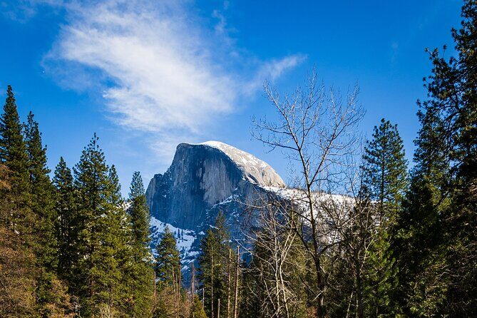 Yosemite Adventure: Full-Day Private Tour from San Francisco - The Sum Up