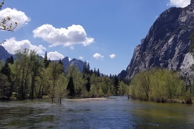 Yosemite Day Tour - Who Is This Tour Best For?