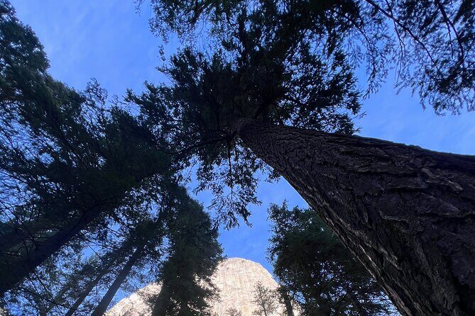 Yosemite Day Trip to 3 Waterfalls with Views from San Francisco - Key Points