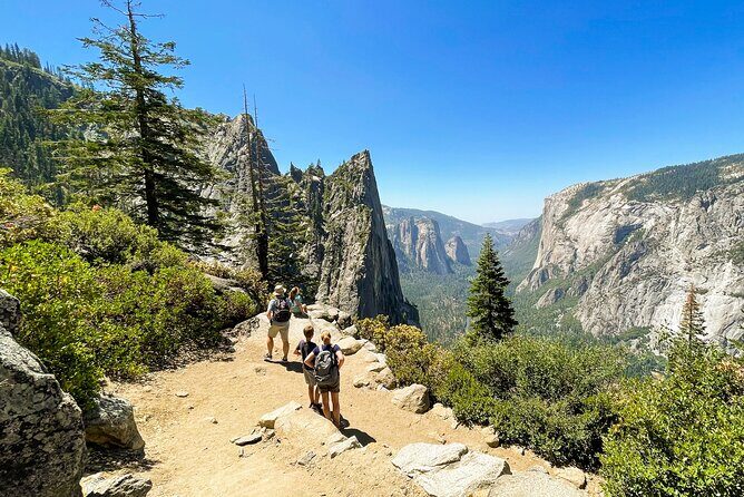 Yosemite Family Explorers - Customizable Private Tour - An In-Depth Look at the Yosemite Family Explorers Tour