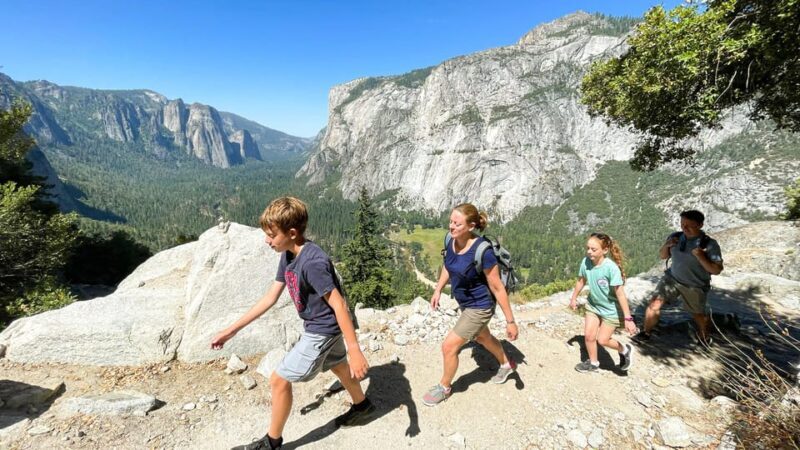 Yosemite Family Explorers: Customizable Private Tour - An Overview of the Tour Experience