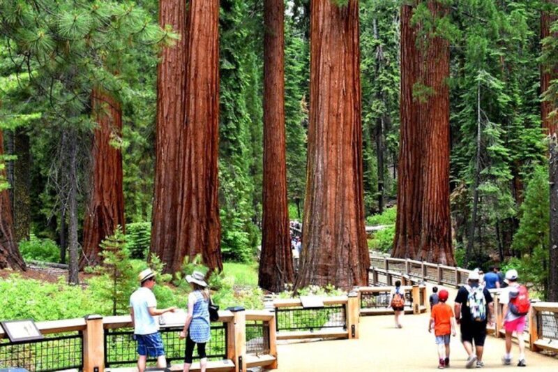 Yosemite: Full-Day Tour with Lunch and Hotel Pick-up - Frequently Asked Questions