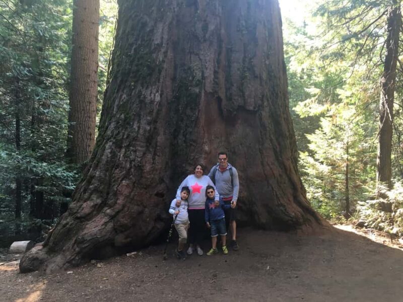 Yosemite: Giant Sequoia Private 4X4 Jeep Tour - Exploring Yosemite’s Hidden Corners by 4x4