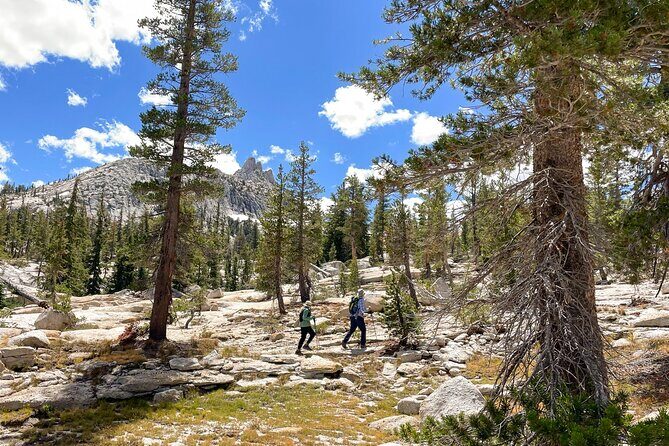 Yosemite: High Country Explorer - Private Hiking Tour - FAQ