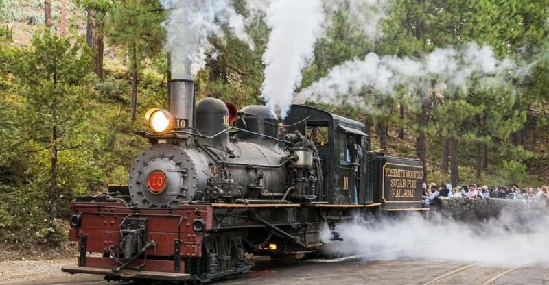 Yosemite Mountain Sugar Pine Railroad Ride with Narration - What the Ride Offers