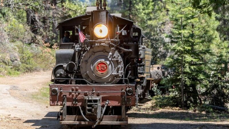 Yosemite Mountain Sugar Pine Railroad Ride with Narration - What Reviewers Say