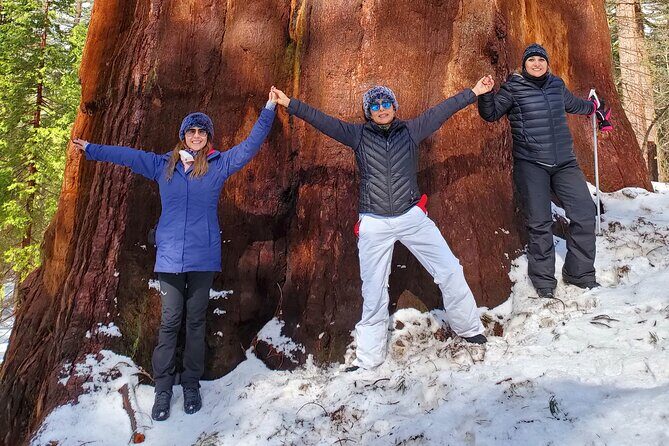 Yosemite National Park Private 1 Day Tour from San Francisco - The Sum Up