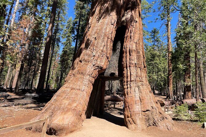 Yosemite National Park & Sequoias Private Tour from San Francisco - Yosemite National Park & Sequoias Private Tour from San Francisco