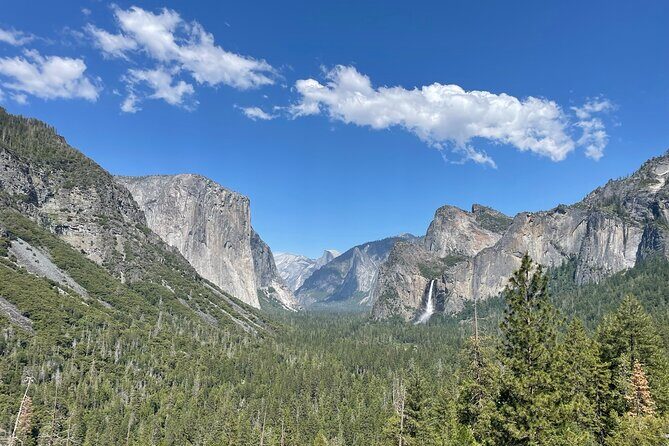 Yosemite National Park & Sequoias Private Tour from San Francisco - What Really Sets This Tour Apart