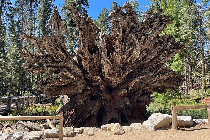 Yosemite National Park & Sequoias Private Tour from San Francisco - The Sum Up