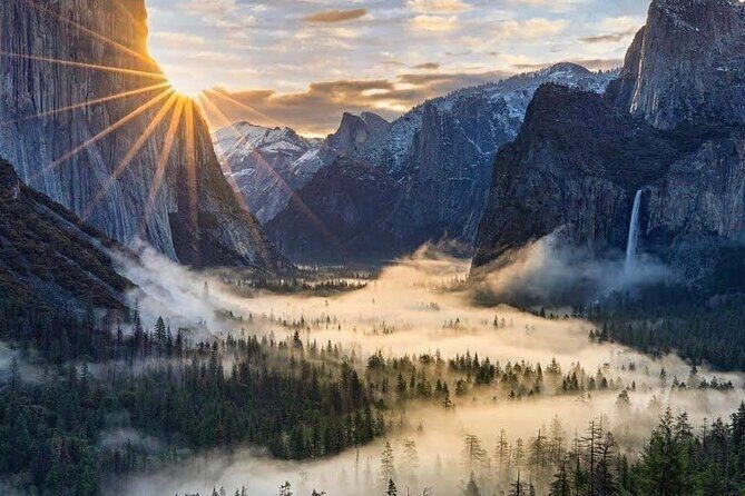 Yosemite Private Tour from San Francisco - Why Choose This Tour?