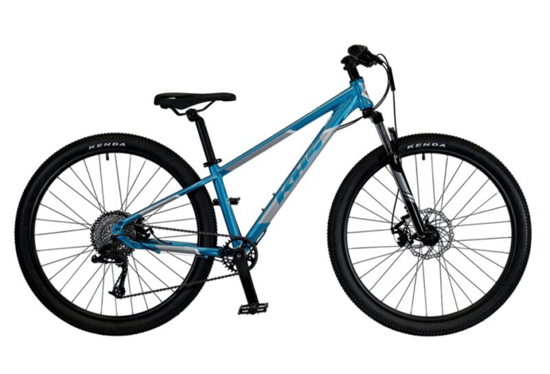 Yosemite Valley Area: Standard Bike Rental - Why Rent a Bike in Yosemite Valley?