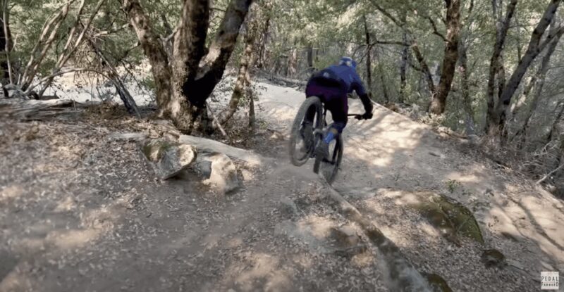 Yosemite Valley Area: Standard Bike Rental - The Experience of Cycling Through Yosemite