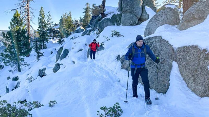 Yosemite Winter Wonderland: Guided Hiking or Snowshoeing - An In-Depth Look at the Yosemite Winter Wonderland Tour