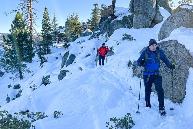 Yosemite Winter Wonderland Guided Hiking or Snowshoeing - Final Thoughts
