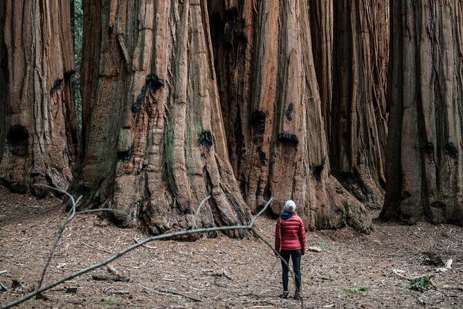 Yosemite Women's Only 3-Day Camping Adventure from San Francisco - Who Should Consider This Tour?