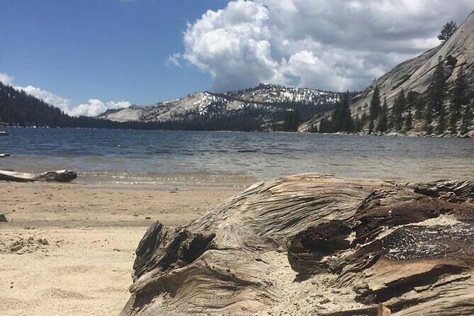 Yosemites High Country Adaptive Tour - An In-Depth Look at the Yosemite High Country Experience