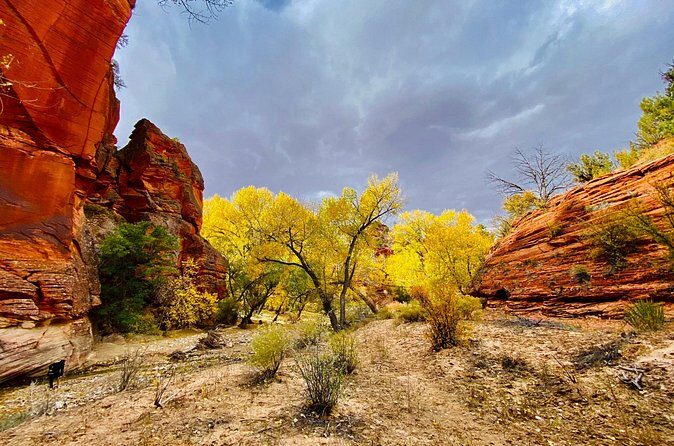 YOU DRIVE!! 4 Hr East Zion Guided UTV Tour - Price and Value Analysis